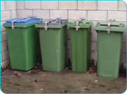 Kitchen and Waste Bins